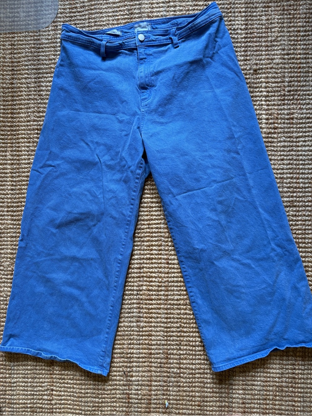 Universal Thread Wide Leg Sailor Pants Blue sz 17